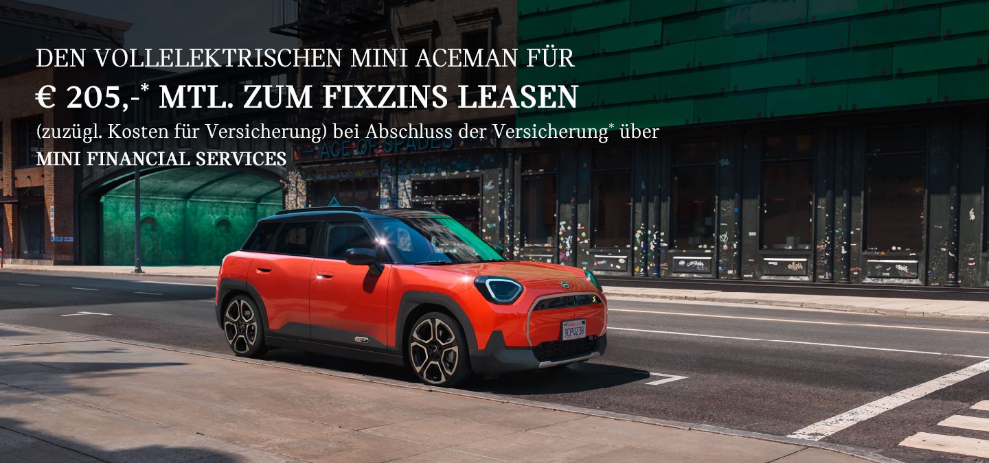 DER VOLLELEKTRISCHE MINI ACEMAN E